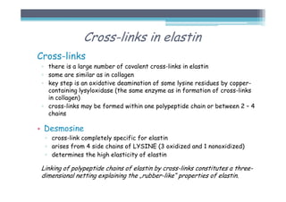 Cross-links in elastin
Cross-links
▫ there is a large number of covalent cross-links in elastin
▫ some are similar as in collagen
▫ key step is an oxidative deamination of some lysine residues by copper-
containing lysyloxidase (the same enzyme as in formation of cross-links
in collagen)
▫ cross-links may be formed within one polypeptide chain or between 2 – 4
chains
• Desmosine
▫ cross-link completely specific for elastin
▫ arises from 4 side chains of LYSINE (3 oxidized and 1 nonoxidized)
▫ determines the high elasticity of elastin
Linking of polypeptide chains of elastin by cross-links constitutes a three-
dimensional netting explaining the „rubber-like“ properties of elastin.
 