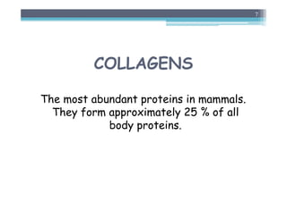 COLLAGENS
The most abundant proteins in mammals.
They form approximately 25 % of all
body proteins.
7
 