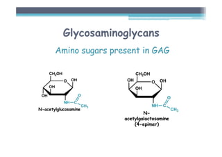 Glycosaminoglycans
Amino sugars present in GAG
 