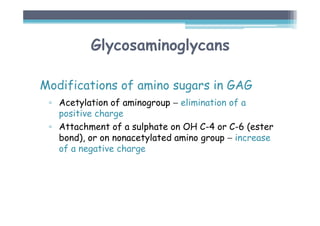Glycosaminoglycans
Modifications of amino sugars in GAG
▫ Acetylation of aminogroup − elimination of a
positive charge
▫ Attachment of a sulphate on OH C-4 or C-6 (ester
bond), or on nonacetylated amino group − increase
of a negative charge
 
