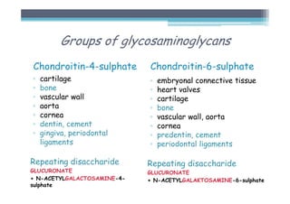 Groups of glycosaminoglycans
Chondroitin-4-sulphate
▫ cartilage
▫ bone
▫ vascular wall
▫ aorta
▫ cornea
▫ dentin, cement
▫ gingiva, periodontal
ligaments
Repeating disaccharide
GLUCURONATE
+ N-ACETYLGALACTOSAMINE-4-
sulphate
Chondroitin-6-sulphate
▫ embryonal connective tissue
▫ heart valves
▫ cartilage
▫ bone
▫ vascular wall, aorta
▫ cornea
▫ predentin, cement
▫ periodontal ligaments
Repeating disaccharide
GLUCURONATE
+ N-ACETYLGALAKTOSAMINE-6-sulphate
 