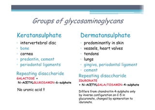 Groups of glycosaminoglycans
Keratansulphate
▫ intervertebral disc
▫ bone
▫ cornea
▫ predentin, cement
▫ periodontal ligaments
Repeating disaccharide
GALACTOSE +
N-ACETYLGLUKOSAMIN-6-sulphate
No uronic acid !!
Dermatansulphate
▫ predominantly in skin
▫ vessels, heart valves
▫ tendons
▫ lungs
▫ gingiva, periodontal ligament
▫ cement
Repeating disaccharide
IDURONATE
+ N-ACETYLGALAcTOSAMIN-4-sulphate
Differs from chondroitin-4-sulphate only
by inverse configuration on C-5 in
glucuronate, changed by epimeration to
iduronate.
 