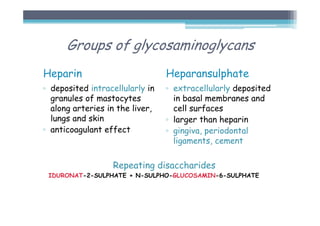 Groups of glycosaminoglycans
Heparin
▫ deposited intracellularly in
granules of mastocytes
along arteries in the liver,
lungs and skin
▫ anticoagulant effect
Heparansulphate
▫ extracellularly deposited
in basal membranes and
cell surfaces
▫ larger than heparin
▫ gingiva, periodontal
ligaments, cement
Repeating disaccharides
IDURONAT-2-SULPHATE + N-SULPHO-GLUCOSAMIN-6-SULPHATE
 
