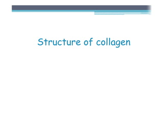 Structure of collagen
 