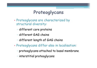 Proteoglycans
• Proteoglycans are characterized by
structural diversity:
▫ different core proteins
▫ different GAG chains
▫ different length of GAG chains
• Proteoglycans differ also in localisation:
▫ proteoglycans attached to basal membrane
▫ interstitial proteoglycans
 