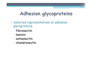 Adhesion glycoproteins
• Selected representatives of adhesion
glycoproteins
▫ fibronectin
▫ laminin
▫ osteonectin
▫ chondronectin
95
 