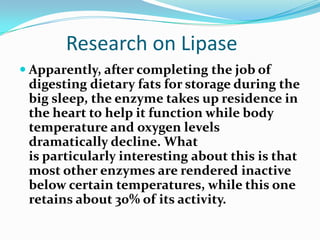 Pancreatic lipase ppt | PPTX