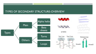 biochemistry-secondary structure of proteins | PDF