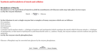 Synthesis and breakdown of starch and cellulose
Breakdown of Starch:
Breakdown or the hydrolysis of starch to yield its constituent a-D-Glucose units may take place in two ways:
(1) By the enzyme diastase:
In fact diastase is not a single enzyme but a complex of many enzymes which are as follows:
(i) α-amylase,
(ii) β-amylase,
(iii) R-Enzyme,
(iv) Maltase
α-amylase and β-amylase attack 1 : 4 linkages of amylose and amylopectin (which constitute the starch) while R-Enzyme attacks 1 : 6 linkages
of amylopectin, so that starch is hydrolysed to yield disaccharide units i.e., maltose. Finally, the enzyme maltase converts maltose into glucose
molecules.
(2) By the enzyme starch phosphorylase.
Glucose-1-Phosphate may be converted into glucose by the enzyme phosphatase.
 