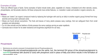 Examples of Lipids
There are different types of lipids. Some examples of lipids include butter, ghee, vegetable oil, cheese, cholesterol and other steroids, waxes,
phospholipids, and fat-soluble vitamins. All these compounds have similar features, i.e. insoluble in water and soluble in organic solvents, etc.
Waxes
• Waxes are “esters” (an organic compound made by replacing the hydrogen with acid by an alkyl or another organic group) formed from long-
alcohols and long-chain carboxylic acids
• Waxes are found almost everywhere. The fruits and leaves of many plants possess waxy coatings, that can safeguard them from small
predators and dehydration
• Fur of a few animals and the feathers of birds possess the same coatings serving as water repellants
• Carnauba wax is known for its water resistance and toughness (significant for car wax).
Phospholipids
• Membranes are primarily composed of phospholipids that are Phosphoacylglycerols
• Triacylglycerols and phosphoacylglycerols are the same, but, the terminal OH group of the phosphoacylglycerol is
esterified(combined with alcohol or acid) with phosphoric acid in place of fatty acid which results in the formation of
 