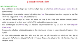 β-oxidation mechanism
Beta Oxidation Definition
• Beta oxidation is a metabolic process involving multiple steps by which fatty acid molecules are broken down to
produce energy
• More specifically, beta oxidation consists in breaking down long fatty acids that have been converted to acyl-CoA
chains into progressively smaller fatty acyl-CoA chains
• This reaction releases acetyl-CoA, FADH2 and NADH, the three of which then enter another metabolic process
called citric acid cycle or Krebs cycle, in which ATP is produced to be used as energy
• Beta oxidation goes on until two acetyl-CoA molecules are produced and the acyl-CoA chain has been completely
broken down
• In eukaryotic cells, beta oxidation takes place in the mitochondria, whereas in prokaryotic cells, it happens in the
cytosol
• For beta oxidation to take place, fatty acids must first enter the cell through the cell membrane, then bind to
coenzyme A (CoA), forming fatty acyl CoA and, in the case of eukaryotic cells, enter the mitochondria, where beta
oxidation occurs
 