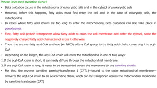 Where Does Beta Oxidation Occur?
• Beta oxidation occurs in the mitochondria of eukaryotic cells and in the cytosol of prokaryotic cells
• However, before this happens, fatty acids must first enter the cell and, in the case of eukaryotic cells, the
mitochondria
• In cases where fatty acid chains are too long to enter the mitochondria, beta oxidation can also take place in
peroxisomes
• First, fatty acid protein transporters allow fatty acids to cross the cell membrane and enter the cytosol, since the
negatively charged fatty acid chains cannot cross it otherwise
• Then, the enzyme fatty acyl-CoA synthase (or FACS) adds a CoA group to the fatty acid chain, converting it to acyl-
CoA
• Depending on the length, the acyl-CoA chain will enter the mitochondria in one of two ways:
1.If the acyl-CoA chain is short, it can freely diffuse through the mitochondrial membrane.
2.If the acyl-CoA chain is long, it needs to be transported across the membrane by the carnitine shuttle
• For this, the enzyme carnitine palmitoyltransferase 1 (CPT1)—bound to the outer mitochondrial membrane—
converts the acyl-CoA chain to an acylcarnitine chain, which can be transported across the mitochondrial membrane
by carnitine translocase (CAT)
 