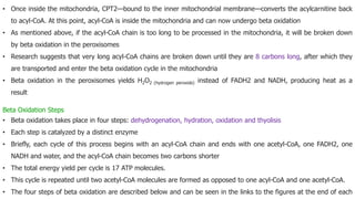 • Once inside the mitochondria, CPT2—bound to the inner mitochondrial membrane—converts the acylcarnitine back
to acyl-CoA. At this point, acyl-CoA is inside the mitochondria and can now undergo beta oxidation
• As mentioned above, if the acyl-CoA chain is too long to be processed in the mitochondria, it will be broken down
by beta oxidation in the peroxisomes
• Research suggests that very long acyl-CoA chains are broken down until they are 8 carbons long, after which they
are transported and enter the beta oxidation cycle in the mitochondria
• Beta oxidation in the peroxisomes yields H2O2 (hydrogen peroxide) instead of FADH2 and NADH, producing heat as a
result
Beta Oxidation Steps
• Beta oxidation takes place in four steps: dehydrogenation, hydration, oxidation and thyolisis
• Each step is catalyzed by a distinct enzyme
• Briefly, each cycle of this process begins with an acyl-CoA chain and ends with one acetyl-CoA, one FADH2, one
NADH and water, and the acyl-CoA chain becomes two carbons shorter
• The total energy yield per cycle is 17 ATP molecules.
• This cycle is repeated until two acetyl-CoA molecules are formed as opposed to one acyl-CoA and one acetyl-CoA.
• The four steps of beta oxidation are described below and can be seen in the links to the figures at the end of each
 