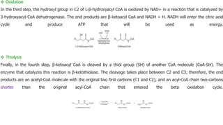  Oxidation
In the third step, the hydroxyl group in C2 of L-β-hydroxyacyl CoA is oxidized by NAD+ in a reaction that is catalyzed by
3-hydroxyacyl-CoA dehydrogenase. The end products are β-ketoacyl CoA and NADH + H. NADH will enter the citric acid
cycle and produce ATP that will be used as energy.
 Thiolysis
Finally, in the fourth step, β-ketoacyl CoA is cleaved by a thiol group (SH) of another CoA molecule (CoA-SH). The
enzyme that catalyzes this reaction is β-ketothiolase. The cleavage takes place between C2 and C3; therefore, the end
products are an acetyl-CoA molecule with the original two first carbons (C1 and C2), and an acyl-CoA chain two carbons
shorter than the original acyl-CoA chain that entered the beta oxidation cycle.
 