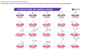 Some Common Amino Acids and Their Structures
The structures of some common amino acids, such as glycine, serine, leucine, cysteine, and valine have been illustrated below.
 