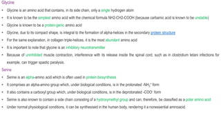 Glycine
• Glycine is an amino acid that contains, in its side chain, only a single hydrogen atom
• It is known to be the simplest amino acid with the chemical formula NH2-CH2-COOH (because carbamic acid is known to be unstable)
• Glycine is known to be a protein-genic amino acid
• Glycine, due to its compact shape, is integral to the formation of alpha-helices in the secondary protein structure
• For the same explanation, in collagen triple-helices, it is the most abundant amino acid
• It is important to note that glycine is an inhibitory neurotransmitter
• Because of uninhibited muscle contraction, interference with its release inside the spinal cord, such as in clostridium tetani infections for
example, can trigger spastic paralysis.
Serine
• Serine is an alpha-amino acid which is often used in protein biosynthesis
• It comprises an alpha-amino group which, under biological conditions, is in the protonated -NH3
+ form
• It also contains a carboxyl group which, under biological conditions, is in the deprotonated -COO– form
• Serine is also known to contain a side chain consisting of a hydroxymethyl group and can, therefore, be classified as a polar amino acid
• Under normal physiological conditions, it can be synthesised in the human body, rendering it a nonessential aminoacid.
 