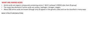 WHAT ARE AMINO ACIDS
• Amino acids are organic compounds containing amine [- NH2 ] carboxyl [-COOH] side chain [R group]
• The major key elements if amino acids are carbon, hydrogen, nitrogen, oxygen.
• About 500 amino acids are known (though only 20 appear in the genetic code) and can be classified in many ways
BASIC STRUCTURE[SKELETON]
 