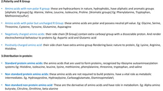 2.Polarity and R Group
• Amino acids with non polar R group: these are hydrocarbons in nature, hydrophobic, have aliphatic and aromatic groups
[aliphatic R groups] Eg: Alanine, Valine, Leucine, Isoleucine, Proline. [Aromatic groups] Eg: Phenylalanine, Tryptophan,
Methionine(sulfur)
• Amino acids with polar but uncharged R Group: these amino acids are polar and possess neutral pH value. Eg: Glycine, Serine,
Threonine, Cysteine, Tyrosine, Glutamine, Asparagine
• Negatively charged amino acids: their side chain [R Group] contain extra carboxyl group with a dissociable proton. And render
electrochemical behaviour to proteins Eg: Aspartic acid and Glutamic acid
• Positively charged amino acid: their side chain have extra amino group Rendering basic nature to protein, Eg: Lysine, Arginine,
Histidine.
3.Distribution in protein:
• Standard protein amino acids: the amino acids that are used to form proteins, recognized by ribozyme autoaminoacylation
systems Eg: Histidine, isoleucine, leucine, lysine, methionine, phenylalanine, threonine, tryptophan, and valine
• Non standard protein amino acids: these amino acids are not required to build proteins. have a vital role as metabolic
intermediates. Eg. Hydroxyproline, Hydroxylysine, Carboxyglutamate, Diaminopimelate
• Non standard non protein amino acid: These are the derivative of amino acids and have role in metabolism. Eg: Alpha amino
butyrate, Citruline, Ornithine, beta-alanine
 