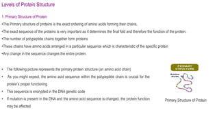 Levels of Protein Structure
1. Primary Structure of Protein
•The Primary structure of proteins is the exact ordering of amino acids forming their chains.
•The exact sequence of the proteins is very important as it determines the final fold and therefore the function of the protein.
•The number of polypeptide chains together form proteins
•These chains have amino acids arranged in a particular sequence which is characteristic of the specific protein
•Any change in the sequence changes the entire protein.
• The following picture represents the primary protein structure (an amino acid chain)
• As you might expect, the amino acid sequence within the polypeptide chain is crucial for the
protein’s proper functioning
• This sequence is encrypted in the DNA genetic code
• If mutation is present in the DNA and the amino acid sequence is changed, the protein function
may be affected
Primary Structure of Protein
 