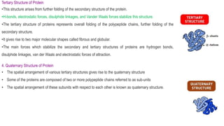Tertiary Structure of Protein
•This structure arises from further folding of the secondary structure of the protein.
•H-bonds, electrostatic forces, disulphide linkages, and Vander Waals forces stabilize this structure.
•The tertiary structure of proteins represents overall folding of the polypeptide chains, further folding of the
secondary structure.
•It gives rise to two major molecular shapes called fibrous and globular.
•The main forces which stabilize the secondary and tertiary structures of proteins are hydrogen bonds,
disulphide linkages, van der Waals and electrostatic forces of attraction.
4. Quaternary Structure of Protein
• The spatial arrangement of various tertiary structures gives rise to the quaternary structure
• Some of the proteins are composed of two or more polypeptide chains referred to as sub-units
• The spatial arrangement of these subunits with respect to each other is known as quaternary structure.
 