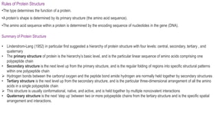 Rules of Protein Structure
•The type determines the function of a protein.
•A protein’s shape is determined by its primary structure (the amino acid sequence).
•The amino acid sequence within a protein is determined by the encoding sequence of nucleotides in the gene (DNA).
Summary of Protein Structure
• Linderstrom-Lang (1952) in particular first suggested a hierarchy of protein structure with four levels: central, secondary, tertiary , and
quaternary
• The primary structure of protein is the hierarchy’s basic level, and is the particular linear sequence of amino acids comprising one
polypeptide chain
• Secondary structure is the next level up from the primary structure, and is the regular folding of regions into specific structural patterns
within one polypeptide chain
 Hydrogen bonds between the carbonyl oxygen and the peptide bond amide hydrogen are normally held together by secondary structures
• Tertiary structure is the next level up from the secondary structure, and is the particular three-dimensional arrangement of all the amino
acids in a single polypeptide chain
 This structure is usually conformational, native, and active, and is held together by multiple noncovalent interactions
• Quaternary structure is the next ‘step up’ between two or more polypeptide chains from the tertiary structure and is the specific spatial
arrangement and interactions.
 