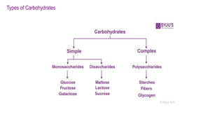 Types of Carbohydrates
 