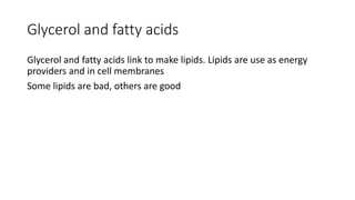 Glycerol and fatty acids
Glycerol and fatty acids link to make lipids. Lipids are use as energy
providers and in cell membranes
Some lipids are bad, others are good
 