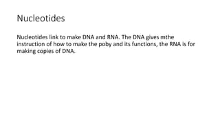 Nucleotides
Nucleotides link to make DNA and RNA. The DNA gives mthe
instruction of how to make the poby and its functions, the RNA is for
making copies of DNA.
 