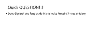 Quick QUESTION!!!
• Does Glycerol and fatty acids link to make Proteins? (true or false)
 