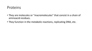 Proteins
• They are molecules or “macromolecules” that consist in a chain of
aminoacid residues.
• They function in the metabolic reactions, replicating DNA, etc.
 