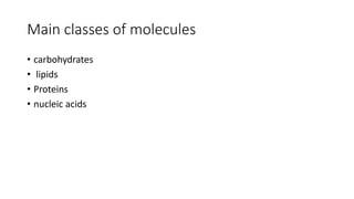 Main classes of molecules
• carbohydrates
• lipids
• Proteins
• nucleic acids
 
