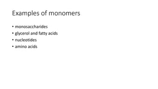 Examples of monomers
• monosaccharides
• glycerol and fatty acids
• nucleotides
• amino acids
 