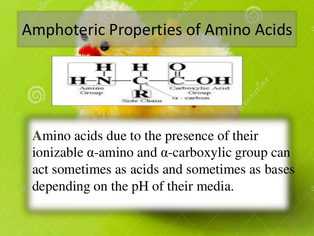 [Biochemistry 1] amphoteric properties of proteins