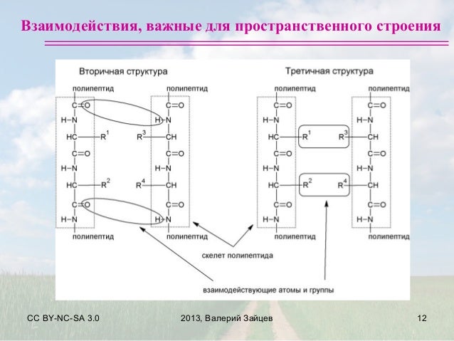 Что такое схема та
