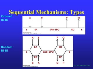 Biochemistry 304 2014 student edition enzymes and enzyme kinetics | PPTX