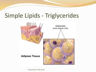 Simple Lipids - Triglycerides
Prepared by: Sidra Javed
 
