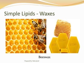 Simple Lipids - Waxes
Beeswax
Prepared by: Sidra Javed
 