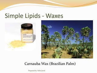 Simple Lipids - Waxes
Carnauba Wax (Brazilian Palm)
Prepared by: Sidra Javed
 