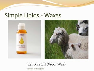 Simple Lipids - Waxes
Lanolin Oil (Wool Wax)
Prepared by: Sidra Javed
 