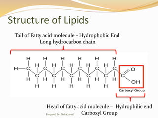 Structure of Lipids
Tail of Fatty acid molecule – Hydrophobic End
Long hydrocarbon chain
Head of fatty acid molecule – Hydrophilic end
Carboxyl GroupPrepared by: Sidra Javed
 