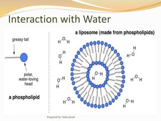 Interaction with Water
Prepared by: Sidra Javed
 
