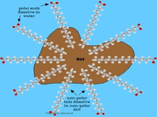 Prepared by: Sidra Javed
 