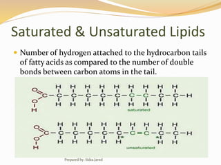 Saturated & Unsaturated Lipids
 Number of hydrogen attached to the hydrocarbon tails
of fatty acids as compared to the number of double
bonds between carbon atoms in the tail.
Prepared by: Sidra Javed
 
