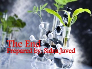 Prepared by, Sidra Javed
 