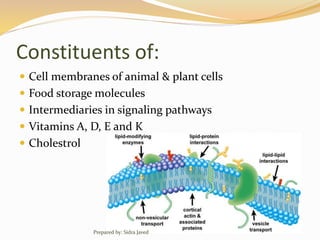 Constituents of:
 Cell membranes of animal & plant cells
 Food storage molecules
 Intermediaries in signaling pathways
 Vitamins A, D, E and K
 Cholestrol
Prepared by: Sidra Javed
 