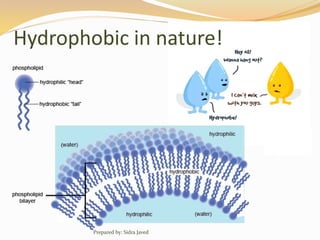 Hydrophobic in nature!
Prepared by: Sidra Javed
 