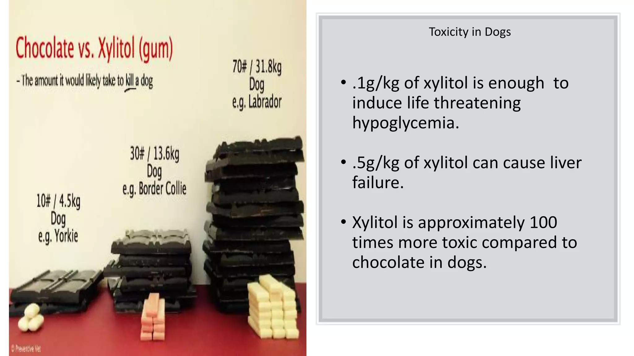 Curated visual reference: Study On Chocolate Toxicity In Dogs Reference: Biochemistry 460 Case Study