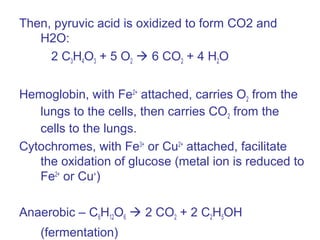 Then, pyruvic acid is oxidized to form CO2 and
H2O:
2 C3H4O3 + 5 O2  6 CO2 + 4 H2O
Hemoglobin, with Fe2+
attached, carries O2 from the
lungs to the cells, then carries CO2 from the
cells to the lungs.
Cytochromes, with Fe3+
or Cu2+
attached, facilitate
the oxidation of glucose (metal ion is reduced to
Fe2+
or Cu+
)
Anaerobic – C6H12O6  2 CO2 + 2 C2H5OH
(fermentation)
 