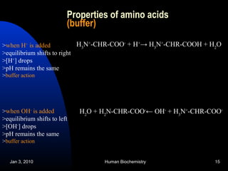 Jan 3, 2010 Human Biochemistry 15
Properties of amino acids
(buffer)
H3
N+
-CHR-COO-
+ H+
→ H3
N+
-CHR-COOH + H2
O>when H+
is added
>equilibrium shifts to right
>[H+
] drops
>pH remains the same
>buffer action
>when OH-
is added
>equilibrium shifts to left
>[OH-
] drops
>pH remains the same
>buffer action
H2
O + H2
N-CHR-COO-
← OH-
+ H3
N+
-CHR-COO-
 
