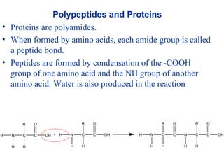 Polypeptides and Proteins
• Proteins are polyamides.
• When formed by amino acids, each amide group is called
a peptide bond.
• Peptides are formed by condensation of the -COOH
group of one amino acid and the NH group of another
amino acid. Water is also produced in the reaction
N C
R
H
C
O
OH
H
H N C
R'
H
C
O
OH
H
H+ N C
R
H
C
O
N
H
H C
H
C OH
R'
H
O
 